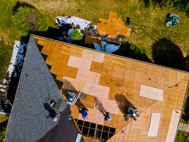 Best Roof Leak Repair  in Anacoco, LA