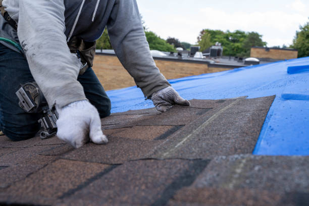 Roof Gutter Cleaning in Anacoco, LA