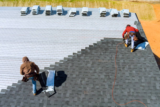 Best Metal Roofing Contractor  in Anacoco, LA