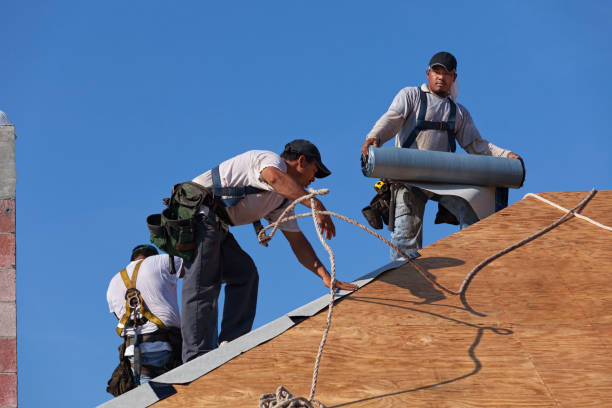 Best New Roof Installation  in Anacoco, LA