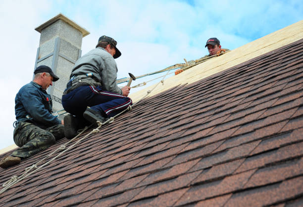 Best Local Roofing Companies  in Anacoco, LA