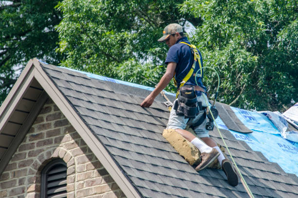 Best Roof Gutter Cleaning  in Anacoco, LA