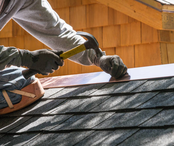 Best Roof Gutter Cleaning  in Anacoco, LA